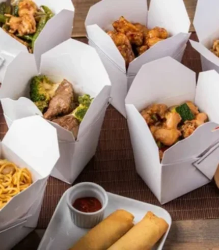 Chinese food and takeout boxes designed for restaurants and delivery.