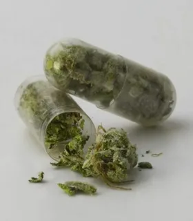 CBD Boxes in USA